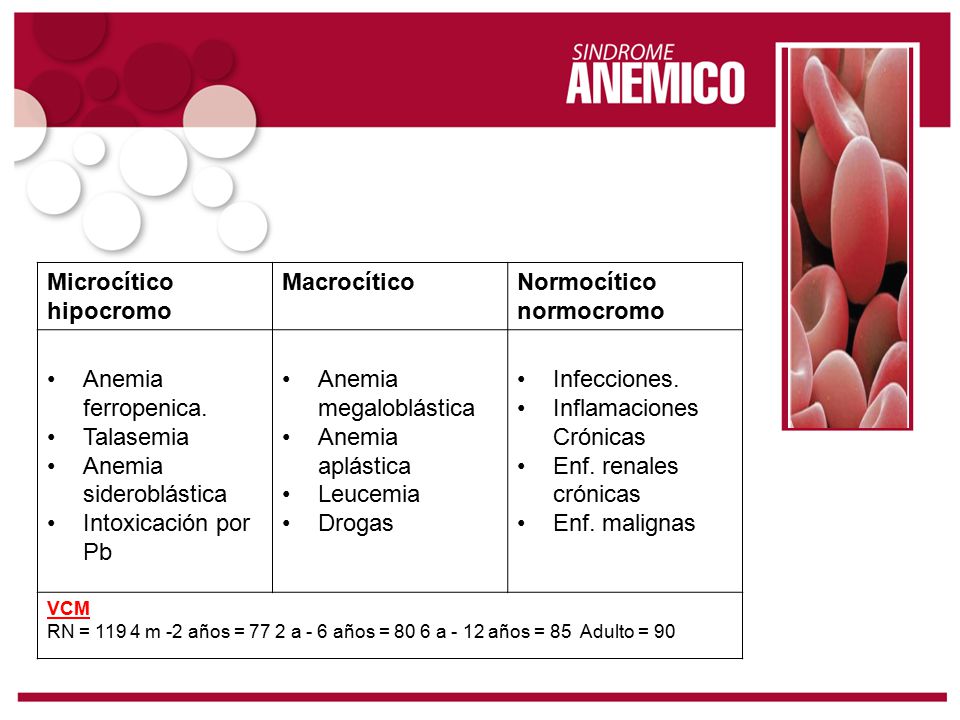 Anemia ferropenica pediatria grr